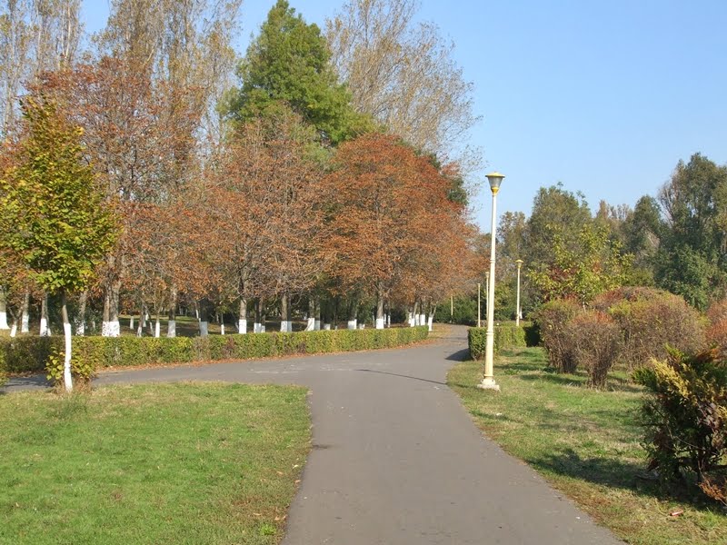 Alleys-in-Tabacarie-Park